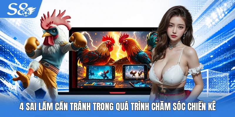 4 sai lầm cần tránh trong quá trình chăm sóc chiến kê