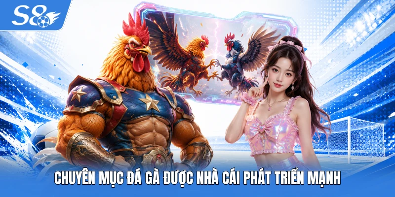 Chuyên mục đá gà được nhà cái phát triển mạnh