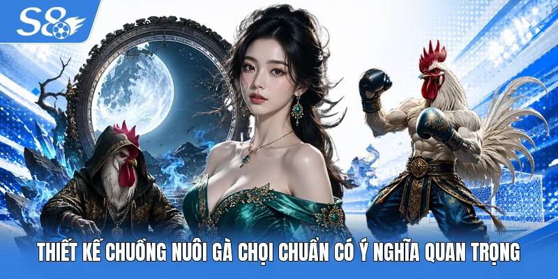 Thiết kế chuồng nuôi gà chọi chuẩn có ý nghĩa quan trọng